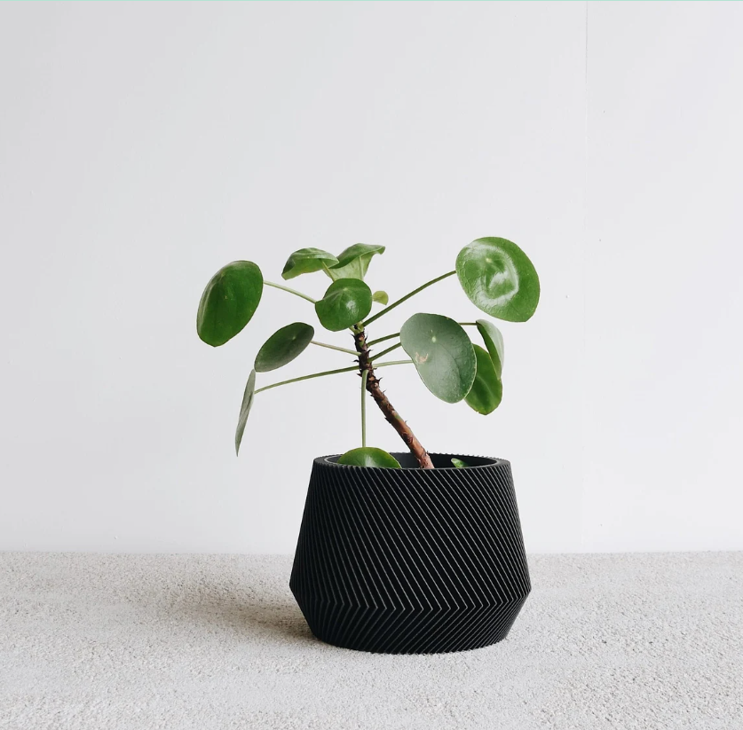 Cache-pot OSLO